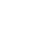 Daytrippers